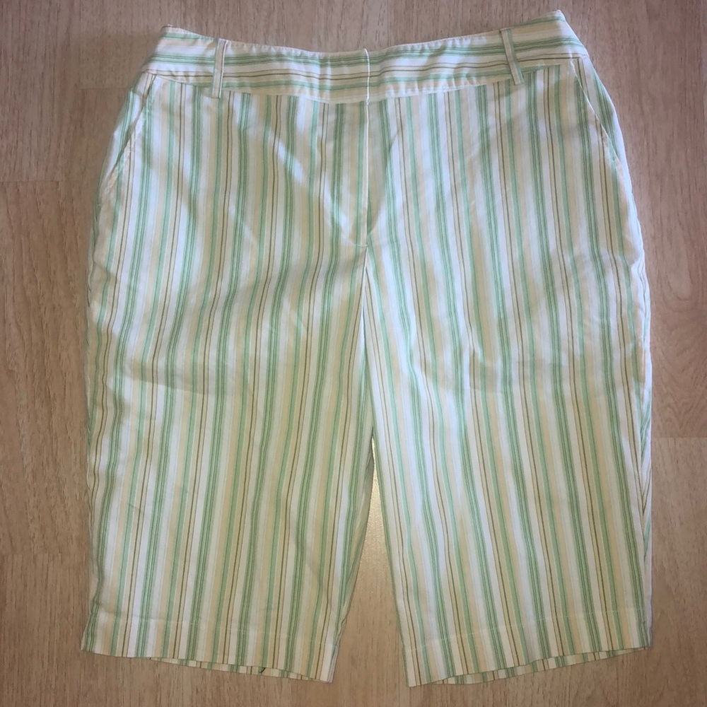 BRIGGS NEW YORK CAPRIS SIZE 14 GREEN STRIPE